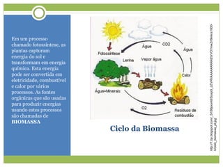 Ciclo da Biomassa
Em um processo
chamado fotossíntese, as
plantas capturam
energia do sol e
transformam em energia
química. Esta energia
pode ser convertida em
eletricidade, combustível
e calor por vários
processos. As fontes
orgânicas que são usadas
para produzir energias
usando estes processos
são chamadas de
BIOMASSA
http://1.bp.blogspot.com/_5i1B6jooiA8/SosqG_LEVRI/AAAAAAAAAE0/VO7mwZrf9mk/s1600-
h/ciclo_biomassa_pt.jpg
 