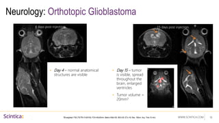 WWW.SCINTICA.COM
Neurology: Orthotopic Glioblastoma
• Day 4 – normal anatomical
structures are visible
• Day 15 – tumor
is visible, spread
throughout the
brain, enlarged
ventricles
• Tumor volume =
20mm3
19
T2 weighted: FSE (TE/TR=73.8/3100, FOV=40x20mm, Matrix=256x128, NEX=20, ETL=16, Res. 156um, Acq. Time 10 min)
4 days post injection 15 days post injection
 