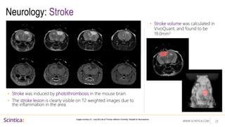 WWW.SCINTICA.COM
Neurology: Stroke
• Stroke volume was calculated in
VivoQuant, and found to be
19.0mm3
23
Images courtesy of L. Lacovitti’s lab at Thomas Jefferson University, Hospital for Neuroscience
• Stroke was induced by photothrombosis in the mouse brain
• The stroke lesion is clearly visible on T2 weighted images due to
the inflammation in the area
 