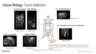 WWW.SCINTICA.COM
Cancer Biology: Tumor Detection
Fat-suppressed T2-weighed MRI can be used to monitored
tumour burden over time using the same animal as its own
control
25
Fat-suppressed T2 weighted: FSE (TE/TR=10-60/4000ms, Inversion time = 100ms)
Th-MYCN GEMM
2min scan 8min scan
TRAMP GEMM
8min scan
O.t. medulloblastoma
3min scan
KPC GEMM
O.t. Prostate bone marrow metastasis
12min scan
RH-41 xenograft
4min scan
 