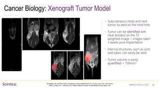 WWW.SCINTICA.COM
Cancer Biology: Xenograft Tumor Model
• Subcutaneous head and neck
tumor located on the hind limb
• Tumor can be identified with
clear borders on the T2
weighted image – images taken
3 weeks post implantation
• Internal structures, such as cysts
and lobes, can easily be seen
• Tumor volume is easily
quantified = 730mm3
28
T2 weighted: FSE (TE/TR=52.7/3500, FOV=80x30mm, Matrix=256x96, NEX=8, ETL=16, Res. 312um, Acq. Time 4:40 min)
Model Courtesy of Dr. J. Mahmood, PhD., Radiation Medicine Program, Princess Margaret Cancer Center, UHN
 