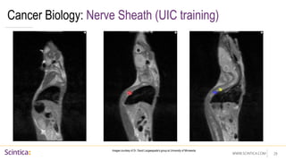 WWW.SCINTICA.COM
Cancer Biology: Nerve Sheath (UIC training)
29
Images courtesy of Dr. David Largaespada’s group at University of Minnesota
 