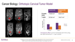 WWW.SCINTICA.COM
Cancer Biology: Orthotopic Cervical Tumor Model
Therapeutic effect can be monitored over time using
the same animal as it’s own control
30
T2 weighted: FSE (TE/TR=52.7/3500, FOV=80x30mm, Matrix=256x96, NEX=8, ETL=16, Res. 312um, Acq Time 4:40 min)
T1 weighted: SE (TE/TR=9.8/500, FOV=80x30mm, Matrix=256x96, NEX=3, Res. 312um, Acq Time 2:42min:sec)
Model Courtesy of Drs. Naz Chaudary, Richard Hill & Shawn Stapleton, Princess Margaret Cancer Center
0
50
100
150
200
250
300
350
5.5 Weeks 7 Weeks
Tumor
Volume
(mm
3
)
Control
Treated
Control (n=4) Treated (n=30)
(n=30)
5.5 weeks
weeks
179±46 mm3 93±8.5 mm3
7 weeks 227±64 mm3 134±11 mm3
Control
Treated
 