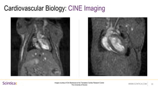 WWW.SCINTICA.COM
Cardiovascular Biology: CINE Imaging
33
Images courtesy of Erik Blackwood at the Translation Cardiac Research Center
The University of Arizona
 