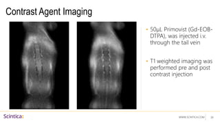 WWW.SCINTICA.COM
Contrast Agent Imaging
• 50µL Primovist (Gd-EOB-
DTPA), was injected i.v.
through the tail vein
• T1 weighted imaging was
performed pre and post
contrast injection
39
 