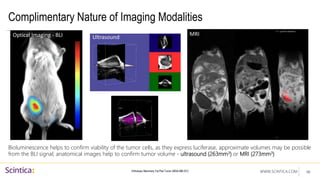 WWW.SCINTICA.COM
Complimentary Nature of Imaging Modalities
Bioluminescence helps to confirm viability of the tumor cells, as they express luciferase, approximate volumes may be possible
from the BLI signal; anatomical images help to confirm tumor volume - ultrasound (263mm3) or MRI (273mm3)
46
Orthotopic Mammary Fat Pad Tumor (MDA-MB-231)
Optical Imaging - BLI Ultrasound
MRI
 