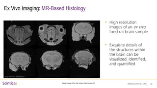 WWW.SCINTICA.COM
Ex Vivo Imaging: MR-Based Histology
• High resolution
images of an ex vivo
fixed rat brain sample
• Exquisite details of
the structures within
the brain can be
visualized, identified,
and quantified
48
Sample Courtesy of Prof. Alan Johnson- Duke University, NC
Image Resolution: 83x83x300 µm
 