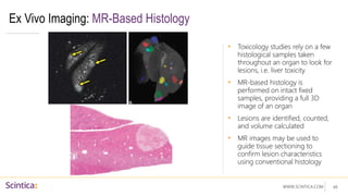 WWW.SCINTICA.COM
Ex Vivo Imaging: MR-Based Histology
• Toxicology studies rely on a few
histological samples taken
throughout an organ to look for
lesions, i.e. liver toxicity
• MR-based histology is
performed on intact fixed
samples, providing a full 3D
image of an organ
• Lesions are identified, counted,
and volume calculated
• MR images may be used to
guide tissue sectioning to
confirm lesion characteristics
using conventional histology
49
 