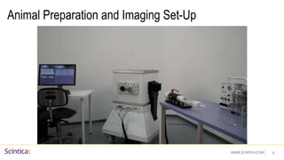 WWW.SCINTICA.COM
Animal Preparation and Imaging Set-Up
6
 
