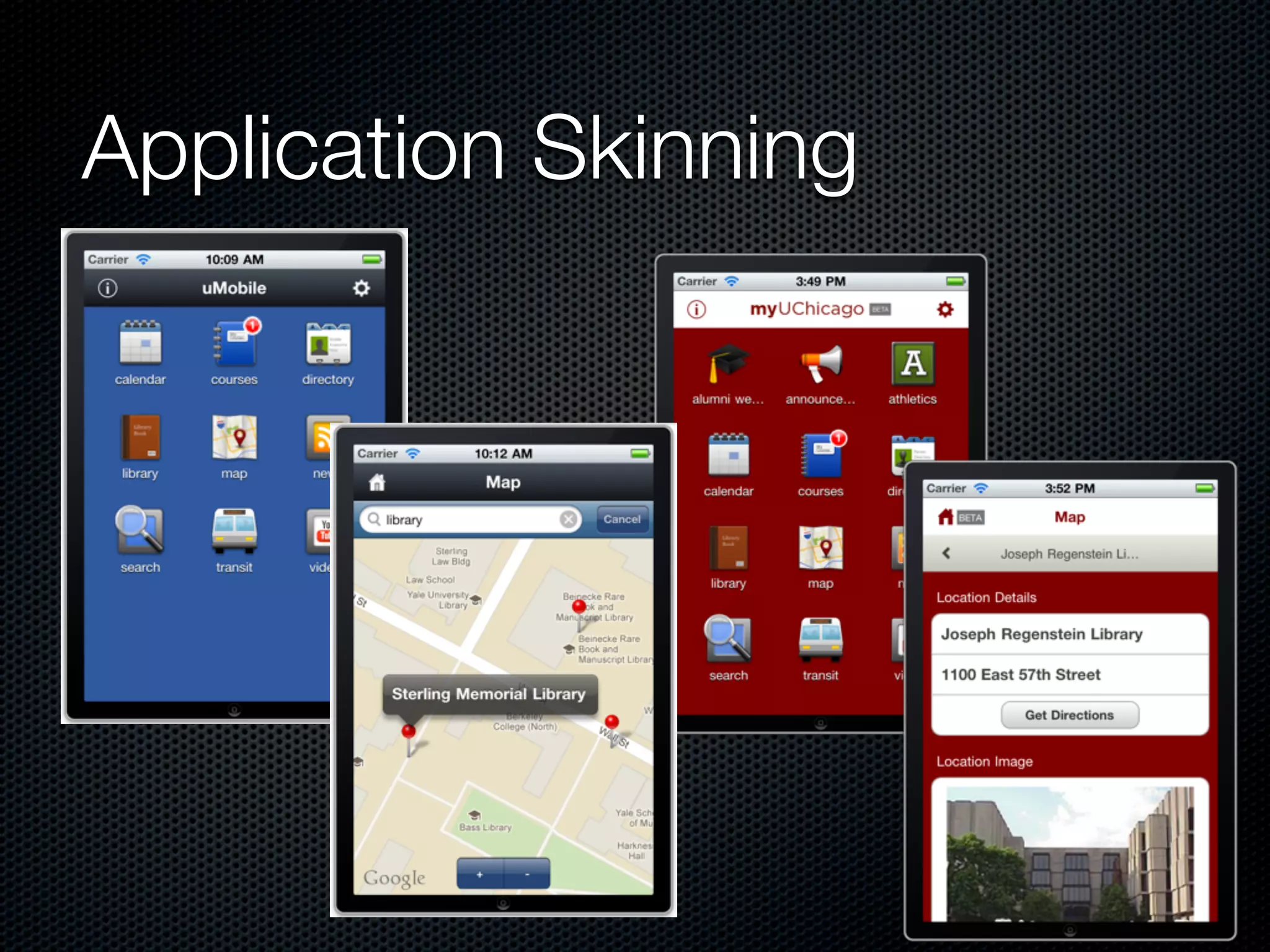 Application Skinning
 