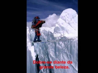 Dobre-se diante da
grande beleza.
 