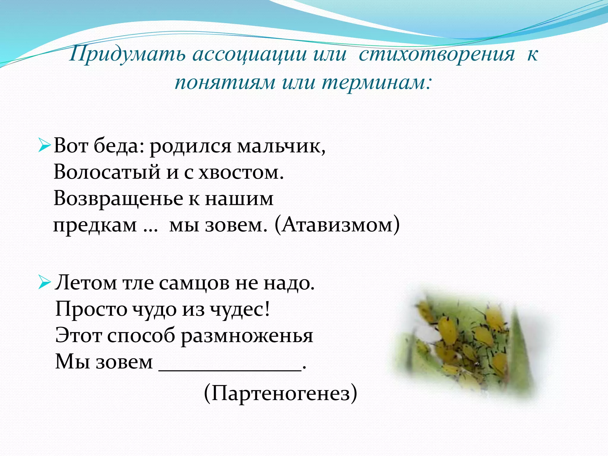 Придумать ассоциации или стихотворения к
понятиям или терминам:
Вот беда: родился мальчик,
Волосатый и с хвостом.
Возвращенье к нашим
предкам … мы зовем. (Атавизмом)
Летом тле самцов не надо.
Просто чудо из чудес!
Этот способ размноженья
Мы зовем _____________.
(Партеногенез)
 