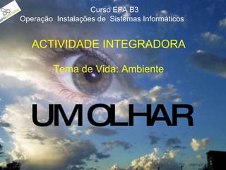 UM OLHAR ACTIVIDADE INTEGRADORA Tema de Vida: Ambiente Curso EFA B3  Operação  Instalações de  Sistemas Informáticos 