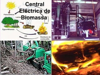 Central Eléctrica de Biomassa  