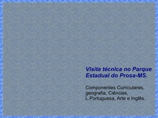Visita técnica no Parque 
Estadual do Prosa-MS. 
Componentes Curriculares, 
geografia, Ciências, 
L.Portuguesa, Arte e Inglês. 
 