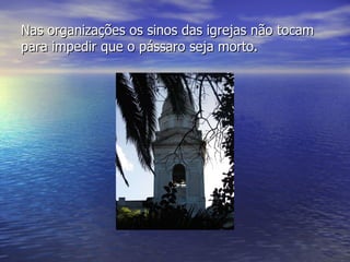 Nas organizações os sinos das igrejas não tocam para impedir que o pássaro seja morto. 