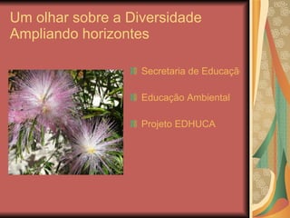 Um olhar sobre a Diversidade Ampliando horizontes <ul><li>Secretaria de Educação Continuada, Alfabetização, Diversidade e ...