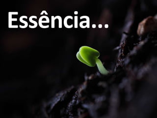 Essência...
 