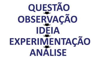 QUESTÃO
  OBSERVAÇÃO
     IDEIA
EXPERIMENTAÇÃO
    ANÁLISE
 