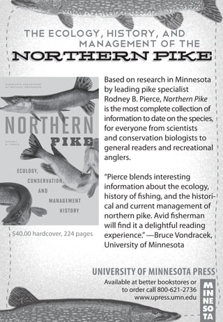 The Ecology, History, and
		
Management of the

NORTHERN PIKE
NORTHERN PIKE
Based on research in Minnesota
by leading pike specialist
Rodney B. Pierce, Northern Pike
is the most complete collection of
information to date on the species,
for everyone from scientists
and conservation biologists to
general readers and recreational
anglers.

$40.00 hardcover, 224 pages

“Pierce blends interesting
information about the ecology,
history of fishing, and the historical and current management of
northern pike. Avid fisherman
will find it a delightful reading
experience.” —Bruce Vondracek,
University of Minnesota

UNIVERSITY OF MINNESOTA PRESS
Available at better bookstores or
to order call 800-621-2736
www.upress.umn.edu

 