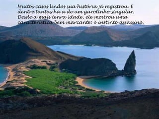 Muitos casos lindos sua história já registrou. E
dentre tantas há a de um garotinho singular.
Desde a mais tenra idade, ele mostrou uma
característica bem marcante: o instinto assassino.
 