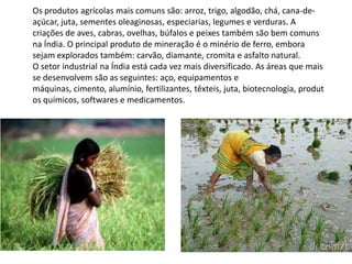 Os produtos agrícolas mais comuns são: arroz, trigo, algodão, chá, cana-de-
açúcar, juta, sementes oleaginosas, especiarias, legumes e verduras. A
criações de aves, cabras, ovelhas, búfalos e peixes também são bem comuns
na Índia. O principal produto de mineração é o minério de ferro, embora
sejam explorados também: carvão, diamante, cromita e asfalto natural.
O setor industrial na Índia está cada vez mais diversificado. As áreas que mais
se desenvolvem são as seguintes: aço, equipamentos e
máquinas, cimento, alumínio, fertilizantes, têxteis, juta, biotecnologia, produt
os químicos, softwares e medicamentos.
 