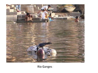 Rio Ganges
 