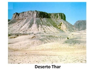 Deserto Thar
 