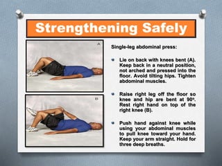 Baseball and Softball Officials Offseason Strengthening Exercises PPT Free Download