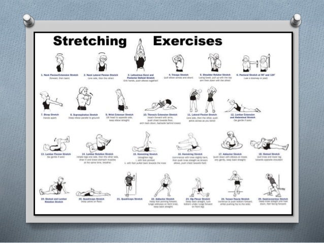 Group Warm Up Exercises 88