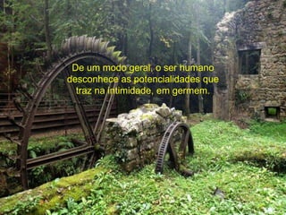 De um modo geral, o ser humano 
desconhece as potencialidades que 
traz na intimidade, em germem. 
 