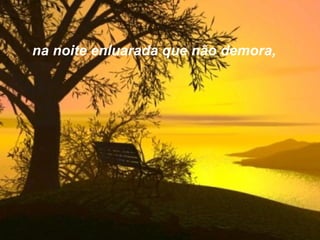 na noite enluarada que não demora,