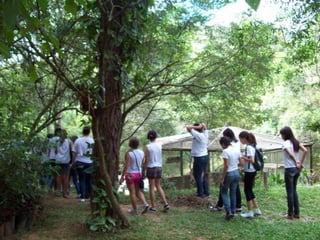 Um Pouco de História