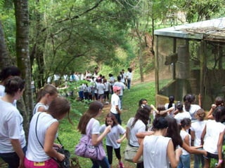 Um Pouco de História