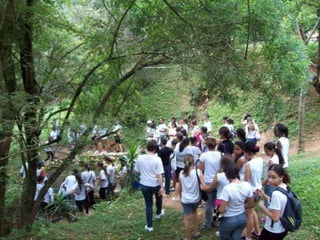 Um Pouco de História