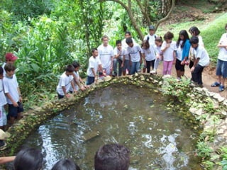 Um Pouco de História