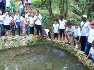 Um Pouco de História