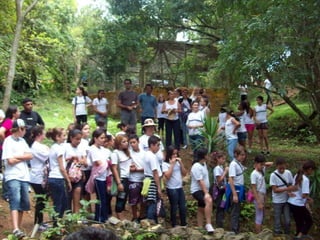 Um Pouco de História