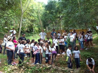 Um Pouco de História