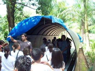 Um Pouco de História