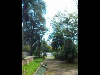 Um Pouco de História