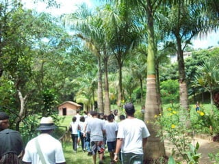 Um Pouco de História