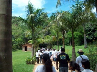 Um Pouco de História