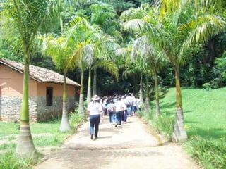 Um Pouco de História