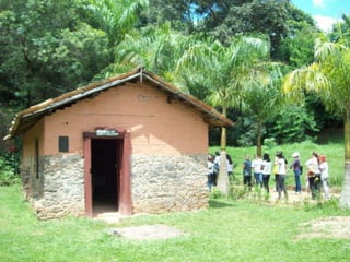 Um Pouco de História