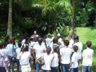 Um Pouco de História