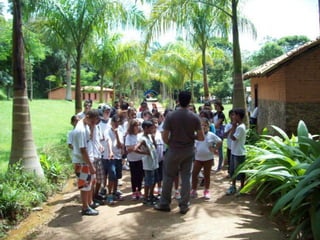 Um Pouco de História