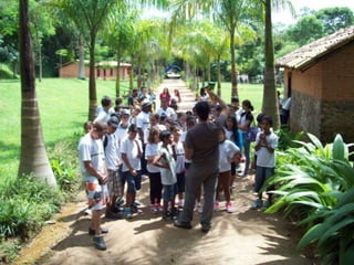 Um Pouco de História