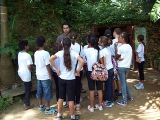 Um Pouco de História