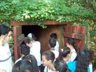 Um Pouco de História